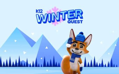 strider the fox - winter image